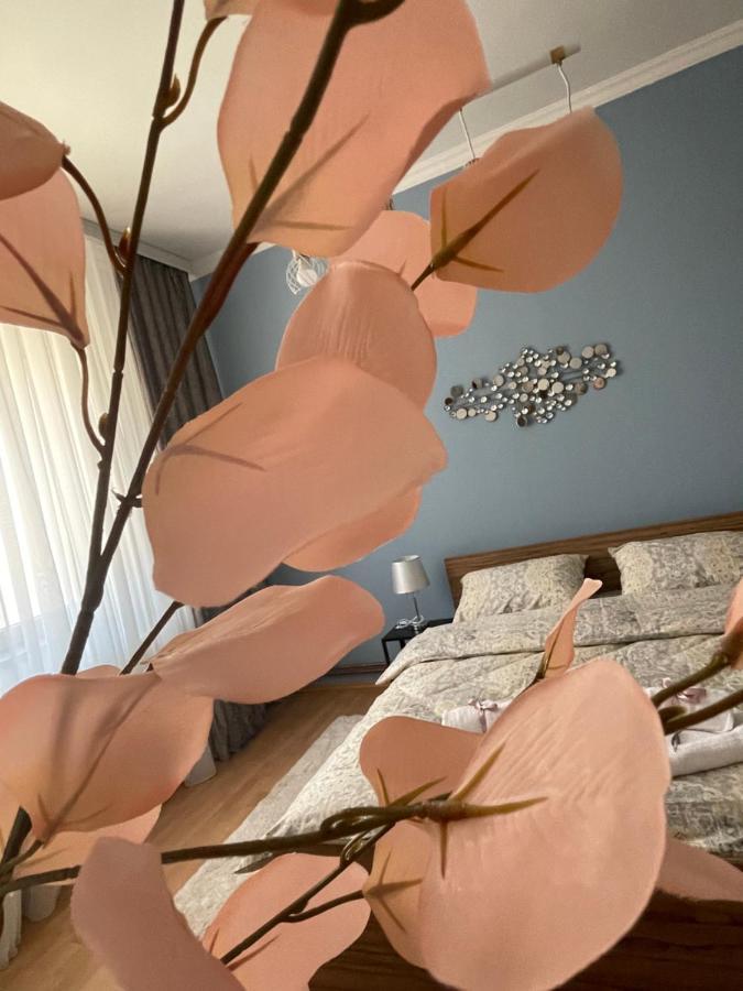Apartman Tara Subotica Dış mekan fotoğraf