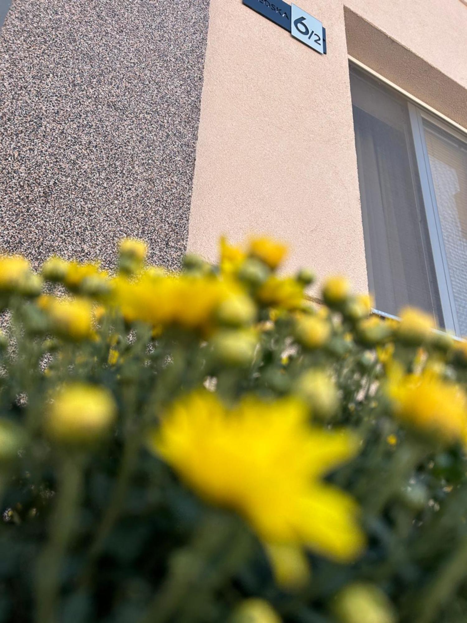 Apartman Tara Subotica Dış mekan fotoğraf